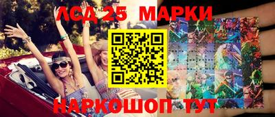 мдпв Гатчина