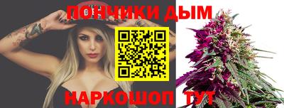 мдпв Гатчина
