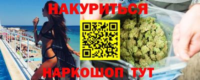 мдпв Гатчина