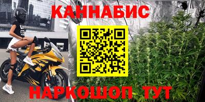 мдпв Гатчина