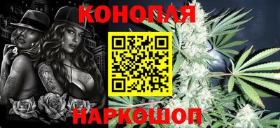 мдпв Гатчина