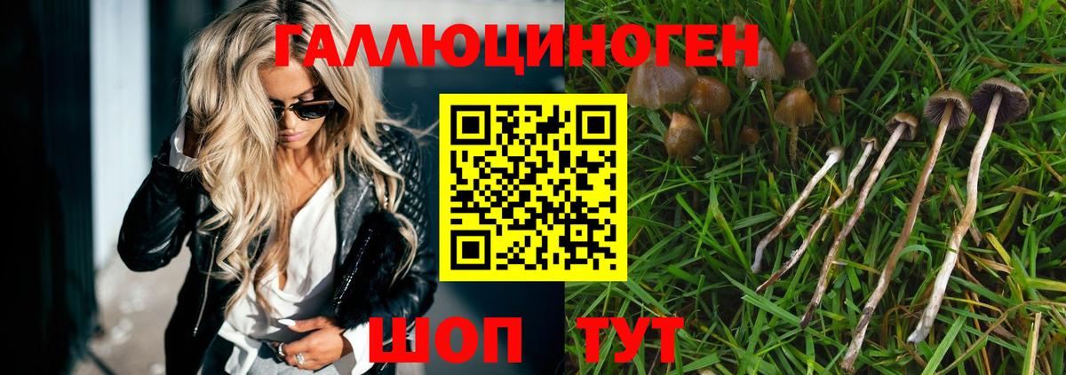 Галлюциногенные грибы GOLDEN TEACHER Назарово